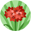 Siti Aishah profile picture